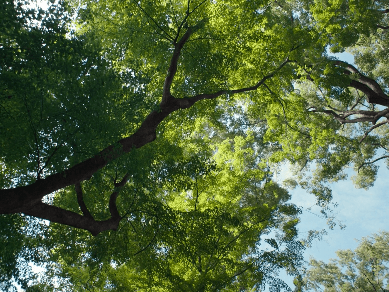 完美的日子剧照