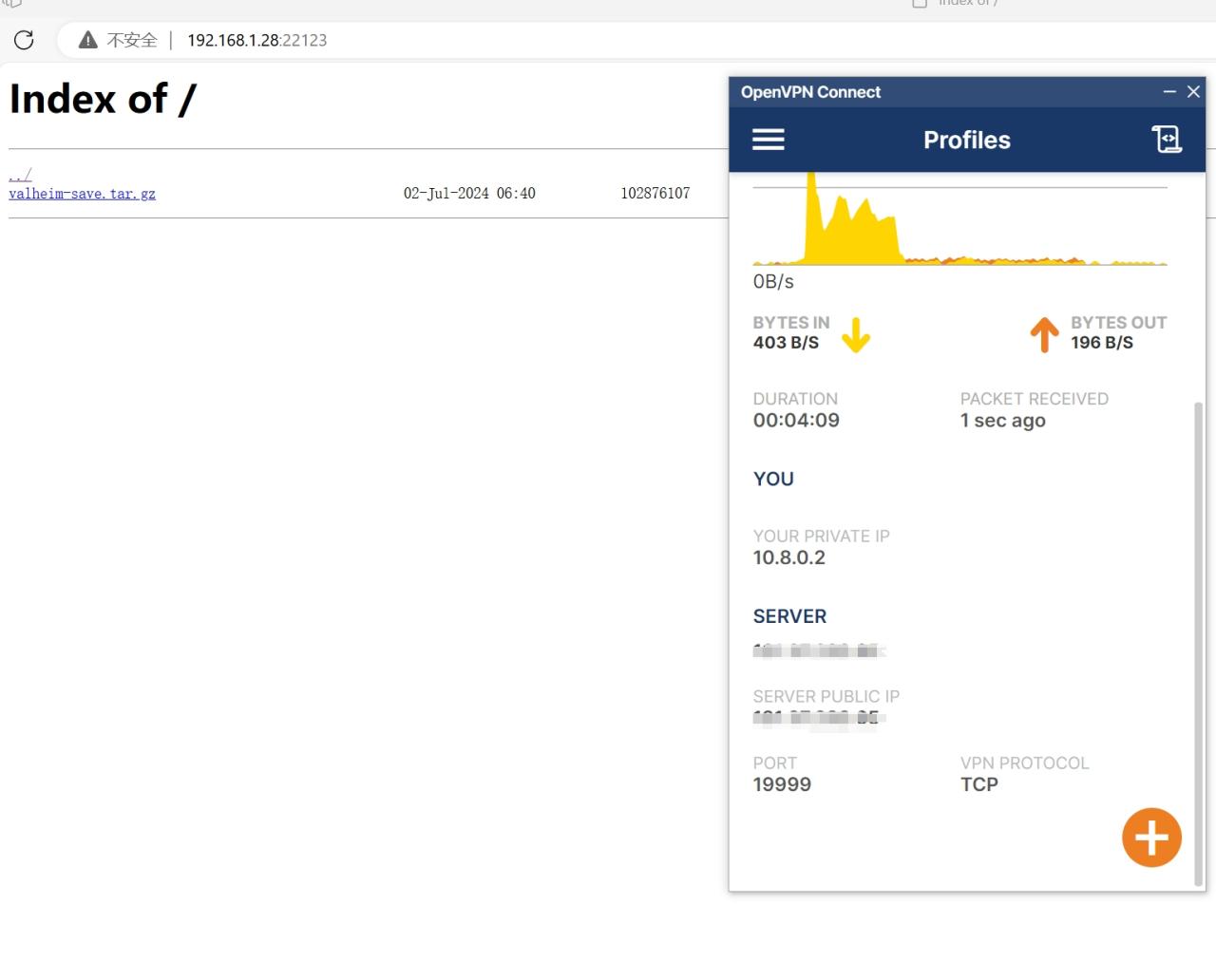 openvpn 成功访问内网 nginx