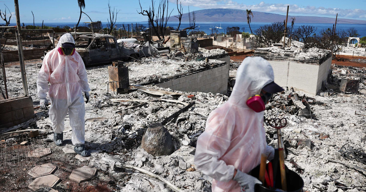 Le NIH termine le financement pour examiner les effets sur la santé du changement climatique – Publica