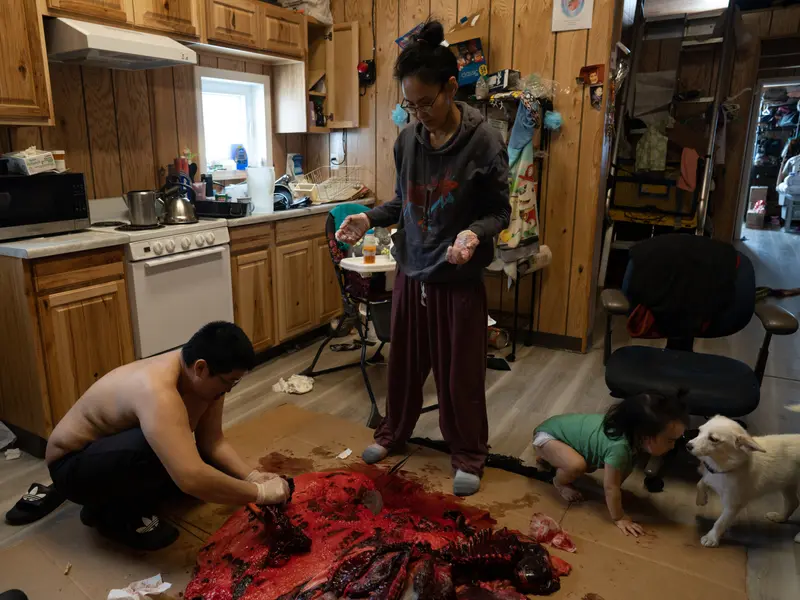 Inside of a wooden paneled kitchen, a shirtless man crouches down over bloody, raw meat on a sheet of cardboard, while a standing woman wearing gloves looks on and a toddler plays with a small white dog.