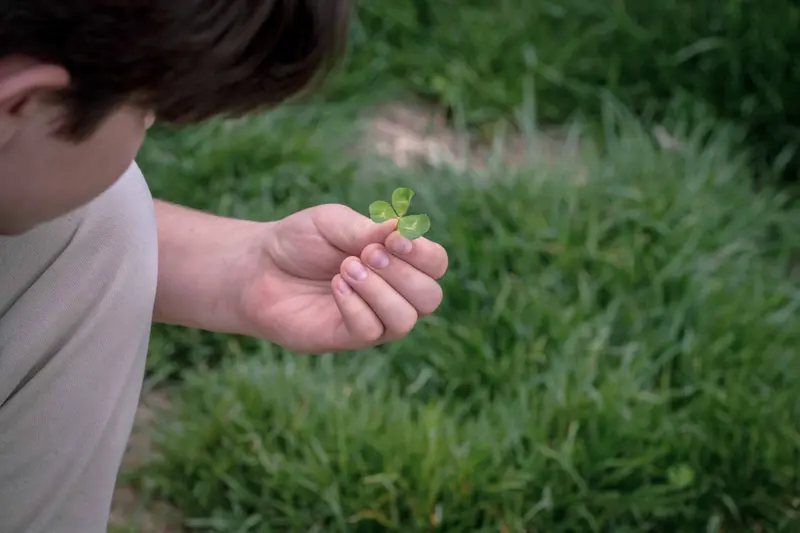 A boy kneels, looking at the three-leaf clover in his hand, against a backdrop of green grass.