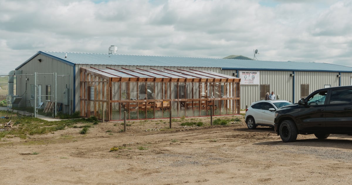 L'USDA a mis fin à un programme qui aide à obtenir des aliments sains – Publica