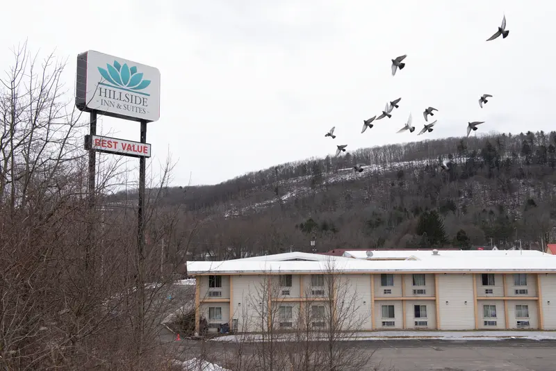Birds fly over the Hillside Inn & Suites building and parking lot. A sign reads: “Hillside Inn & Suites” and “Best Value.”