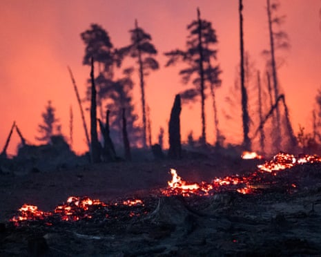 The forest floor is on fire in a wooded area on the Saalfelder Höhe, in Reichmannsdorf, Germany.
