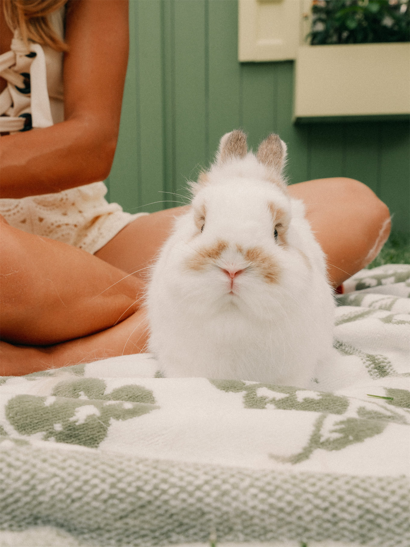 Business and Pleasure Co Blue Green Stripe Pool Pool Pool Towels in the Free Pillow Sun Sun Rogue Embelles Fraîcheur