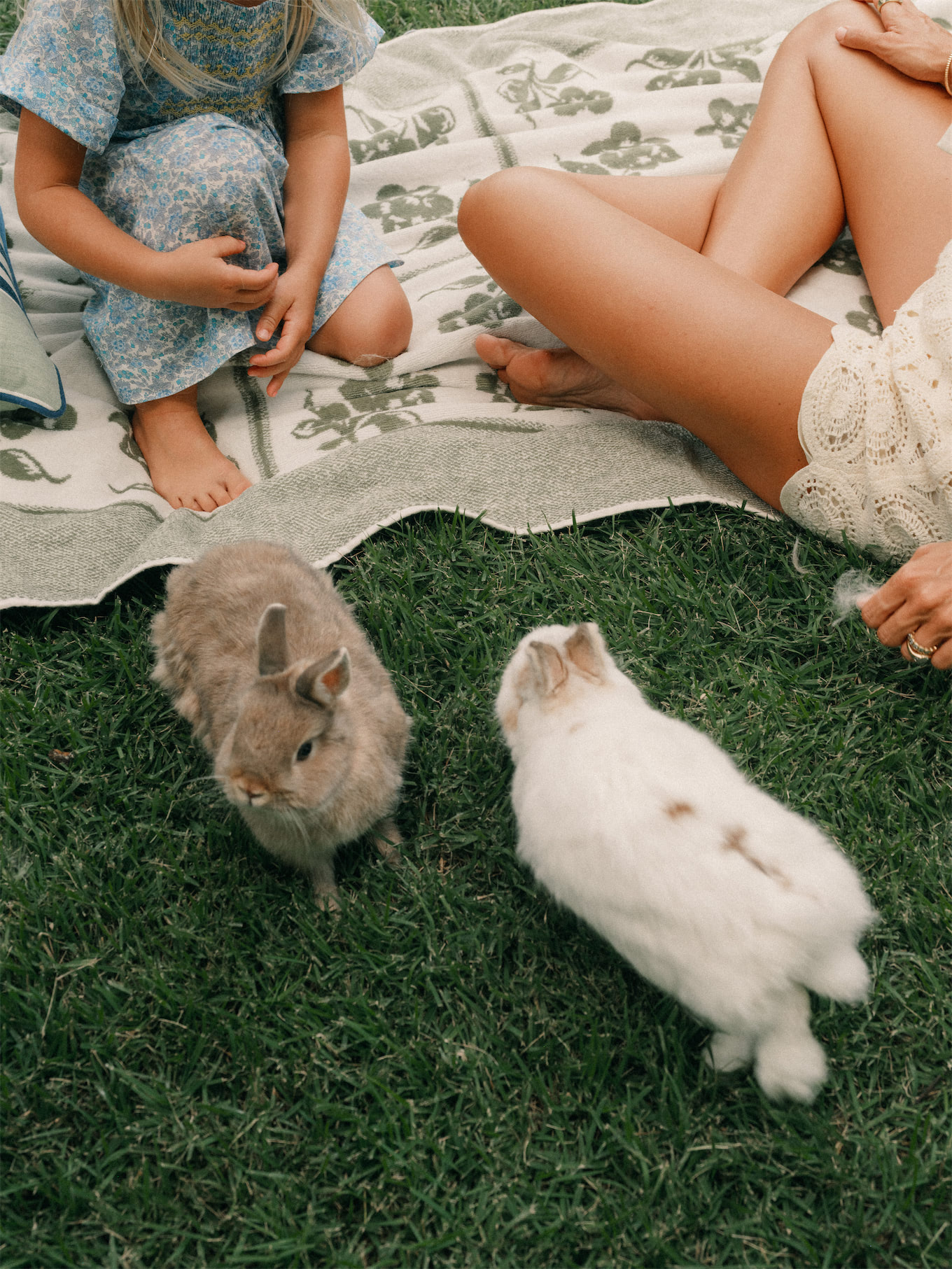 Business and Pleasure Co Blue Green Stripe Pool Pool Pool Towels in the Free Pillow Sun Sun Rogue Embelles Fraîcheur