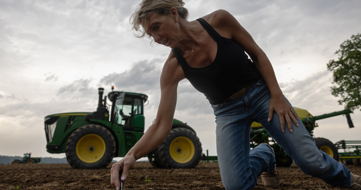 Why Some Illinois Farmers Are Stuck Raising Crops That No Longer Thrive — ProPublica