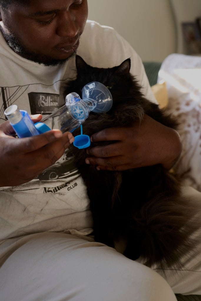 Ansari tenderly holds an inhaler attached to a face mask to the face of a fluffy black cat.
