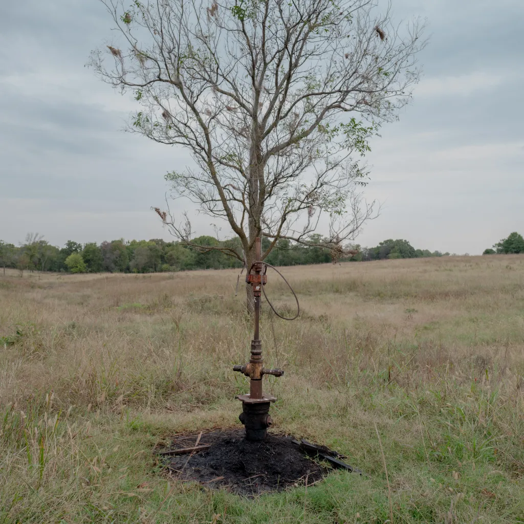 The first of three images of blackened oil and gas wells. This one sticks up near a tree and sits in a circle of black amid a field of grass.