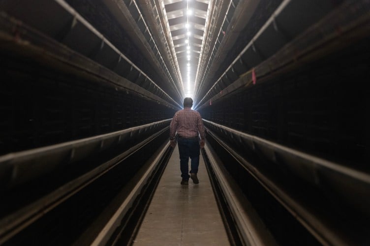 A man with white hair wearing a plaid shirt and jeans walks down the center of a long, dark, ominous-looking row of empty shelves toward what looks like a light at the end of a tunnel.