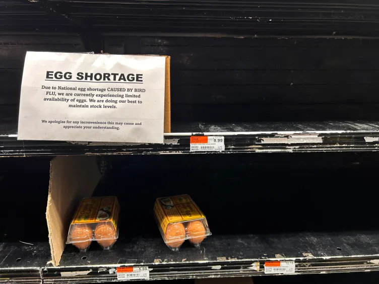 Two cartons of brown eggs sit on otherwise empty grocery store shelves below a sign reading, “Egg shortage: Due to National egg shortage caused by bird flu, we are experiencing limited availability of eggs. We are doing our best to maintain stock levels. We apologize for any inconvenience this may cause and appreciate your understanding.”