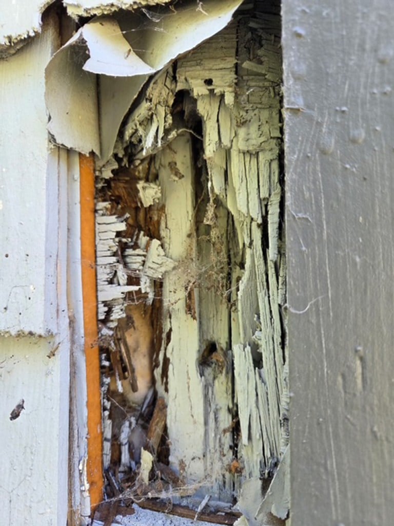 Close-up of broken wood.