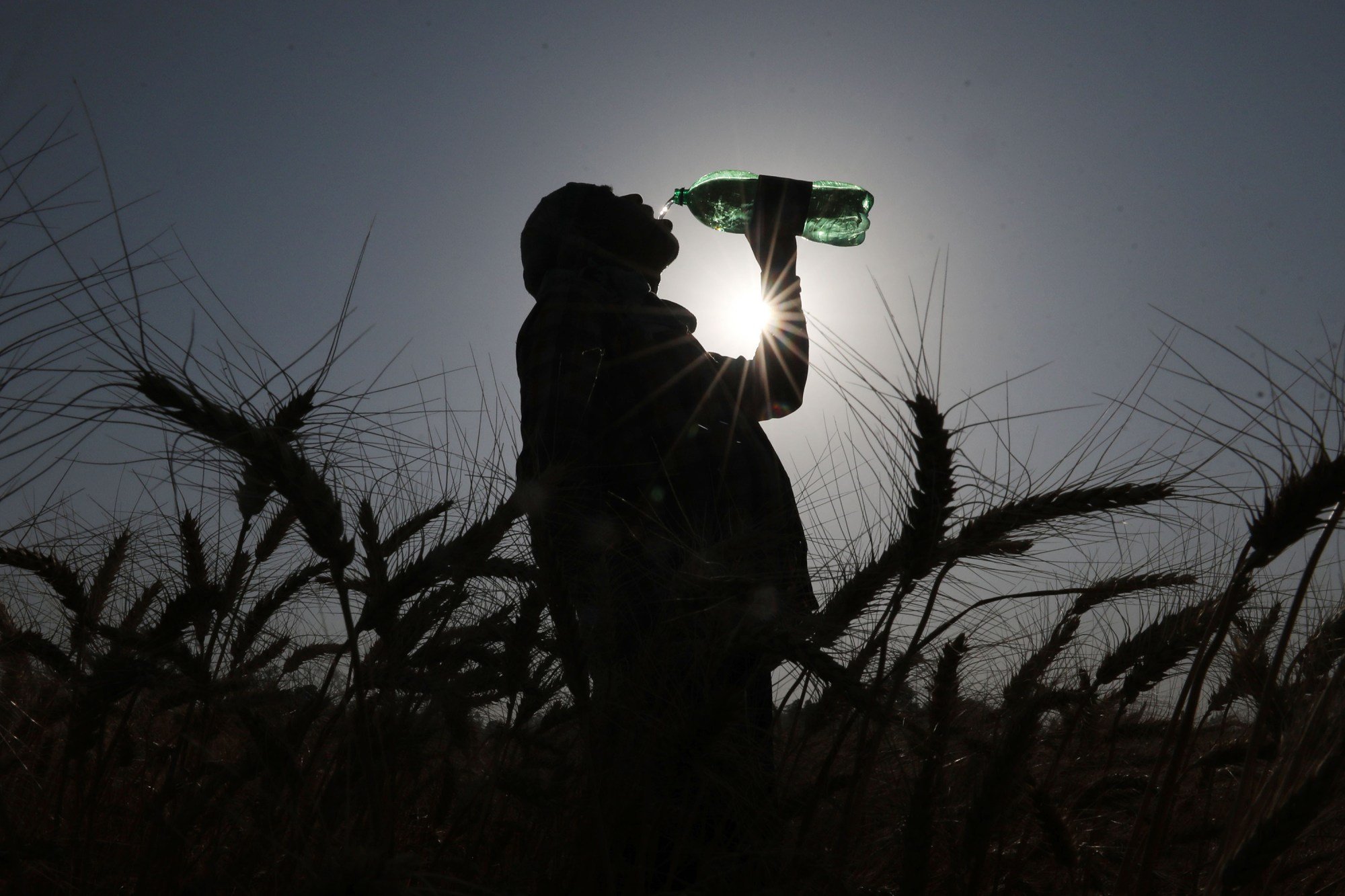 Trump’s Anti-Green Agenda Could Lead to 1.3 Million More Climate Deaths — ProPublica