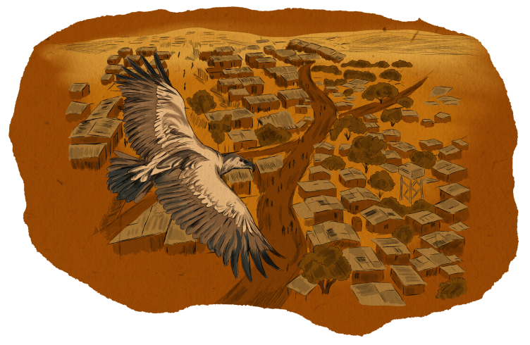 An illustration showing an aerial view of a refugee camp in the desert, with numerous small, simple huts, shrubs and dirt paths. In the foreground, a bird soars over the camp.