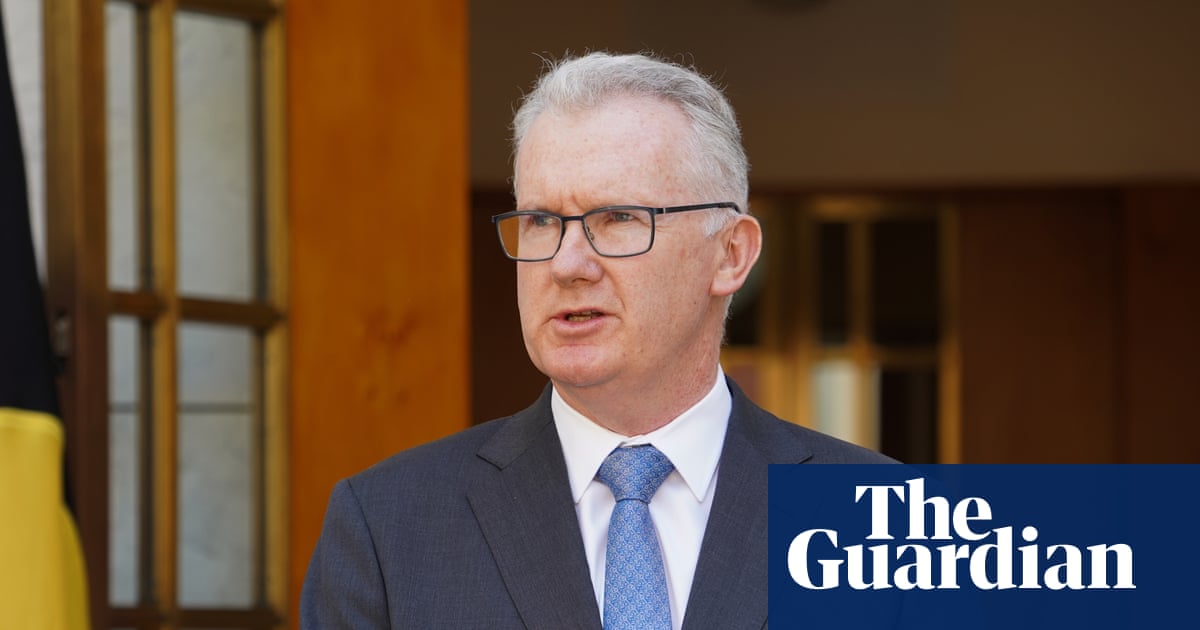 Le visa australien d'un Britannique annulé après qu'il ait été accusé d'afficher des symboles nazis | Immigration et asile australiens