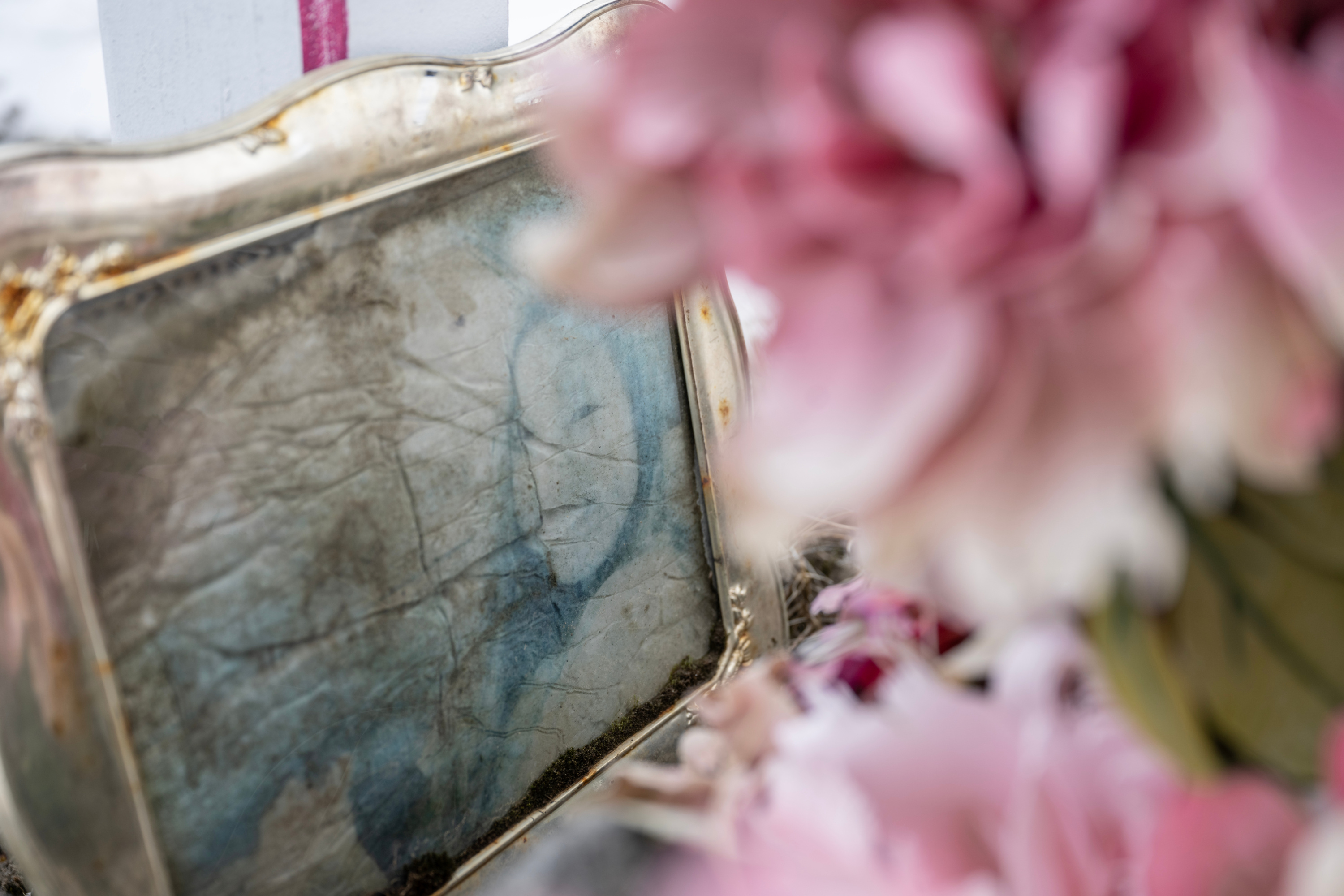 A faded photograph of a smiling woman in a silver frame. The picture is surrounded by pink flower petals.