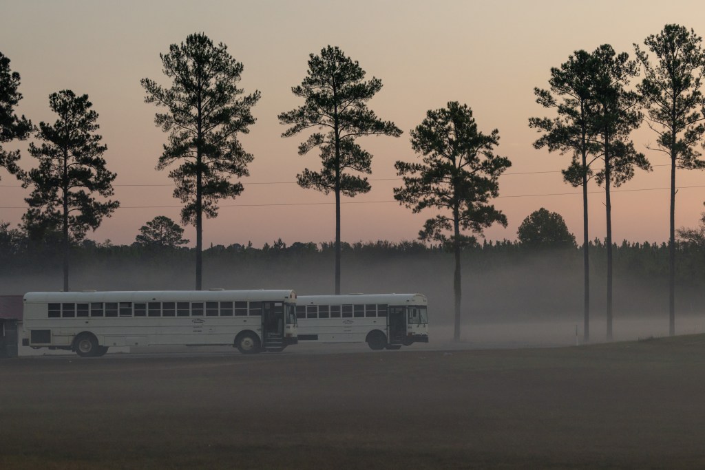 Two white school buses are parked in front of a row of trees. The sky is a light orange with dust in the air.