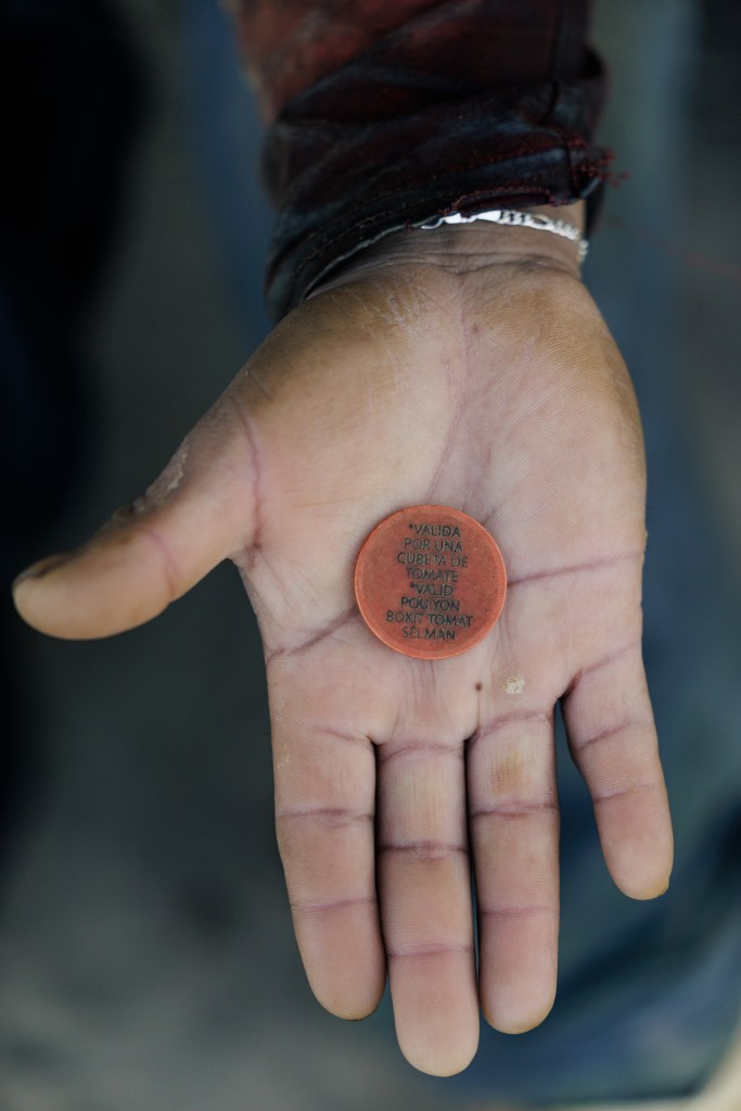 A person’s hand holds a red token that reads: “Valida for una cubeta de tomate. Valid pou youn bokit tomat sélman.”