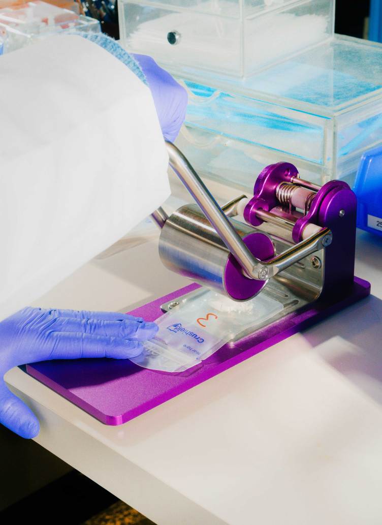 A lab technician crushes a pill in a plastic bag using a metal cylinder attached to a hinge mechanism.