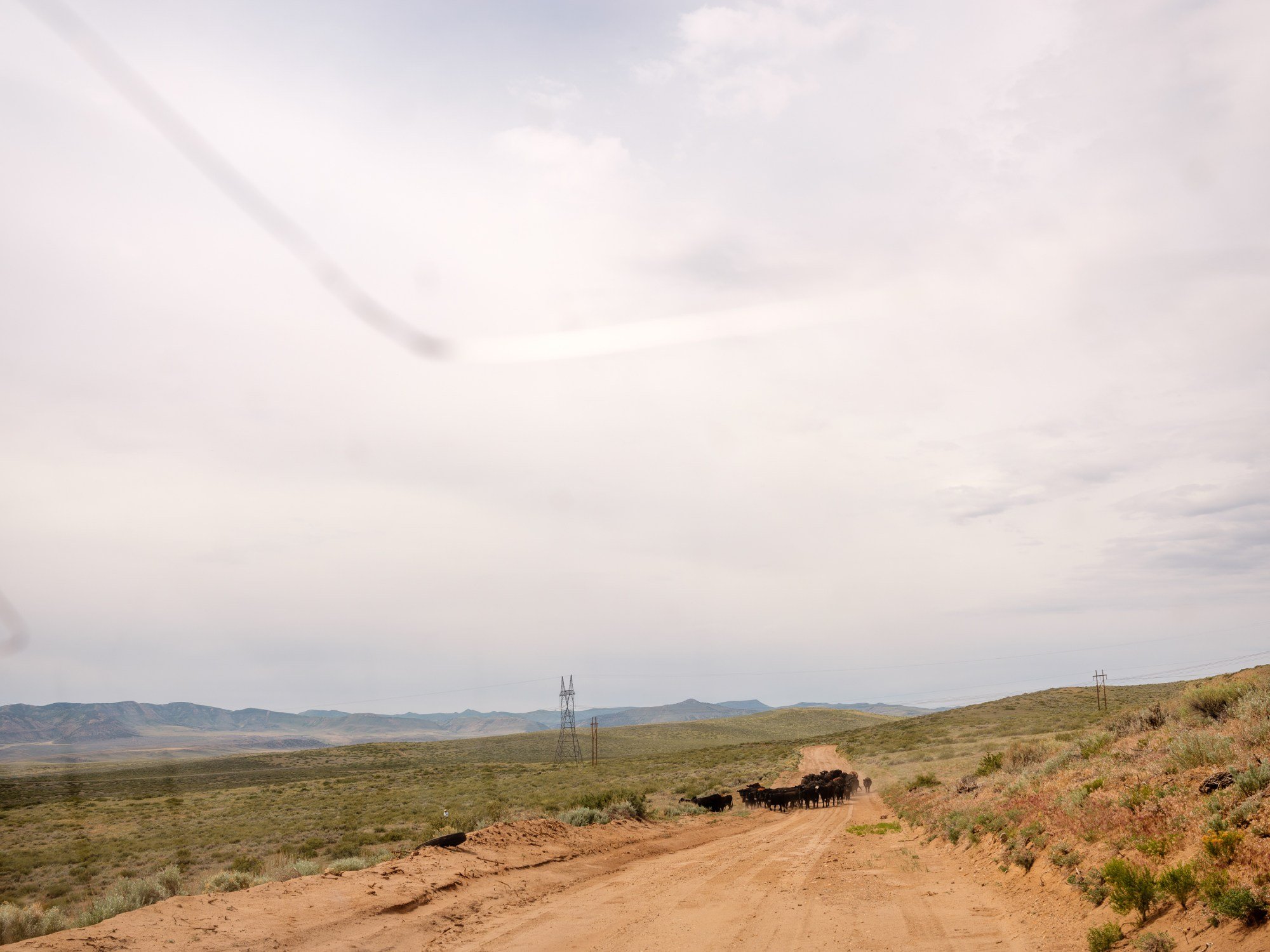 Wealthy Ranchers Profit From Public Lands. Taxpayers Pick Up the Tab. — ProPublica