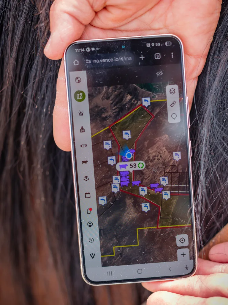 Hands hold out a mobile phone, displaying virtual fencing and water sources for cattle grazing over a satellite view of the area. The screen shows purple cow icons confined within red and yellow lines, as well as water faucet icons.