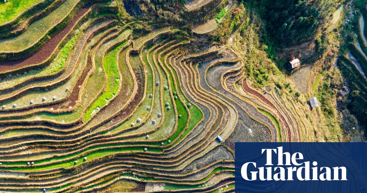 Rêves brisés et accaparement des terres : la montée des protestations rurales en Chine | Chine