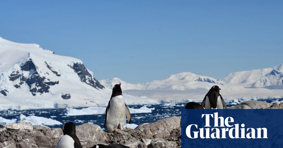 Les manchots de l'Antarctique ont radicalement modifié leur saison de reproduction – apparemment en réponse au changement climatique