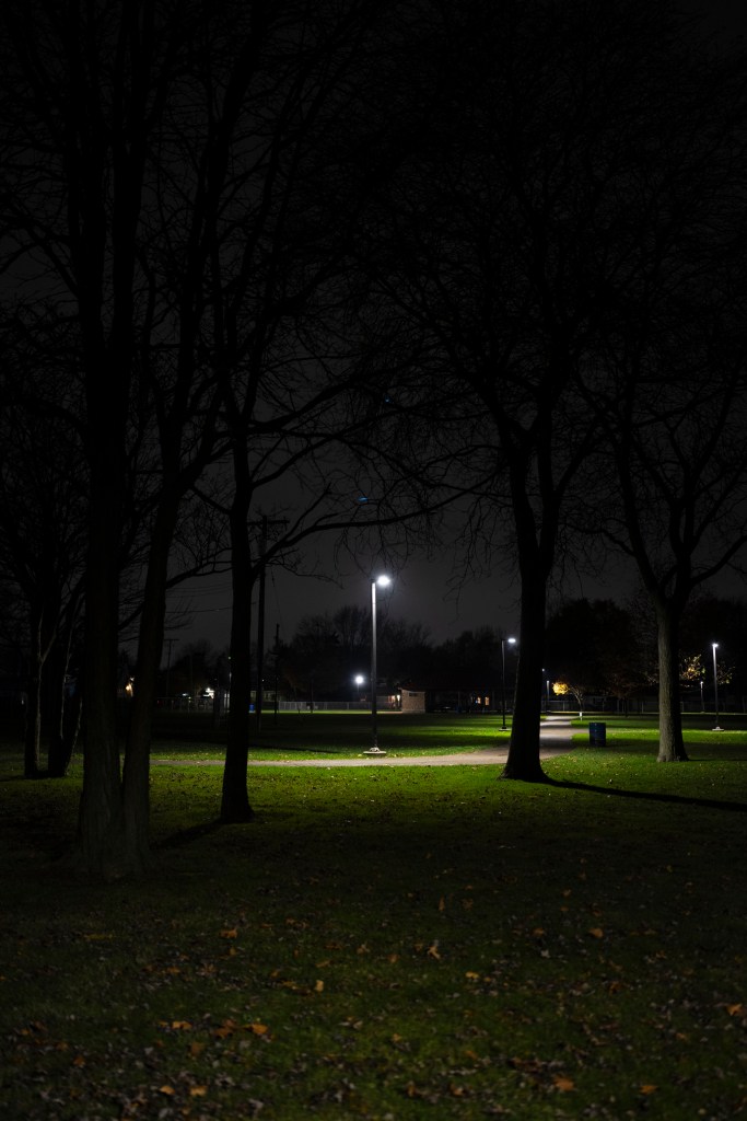 A lone streetlight illuminates a path winding through a park with trees and grass at night.