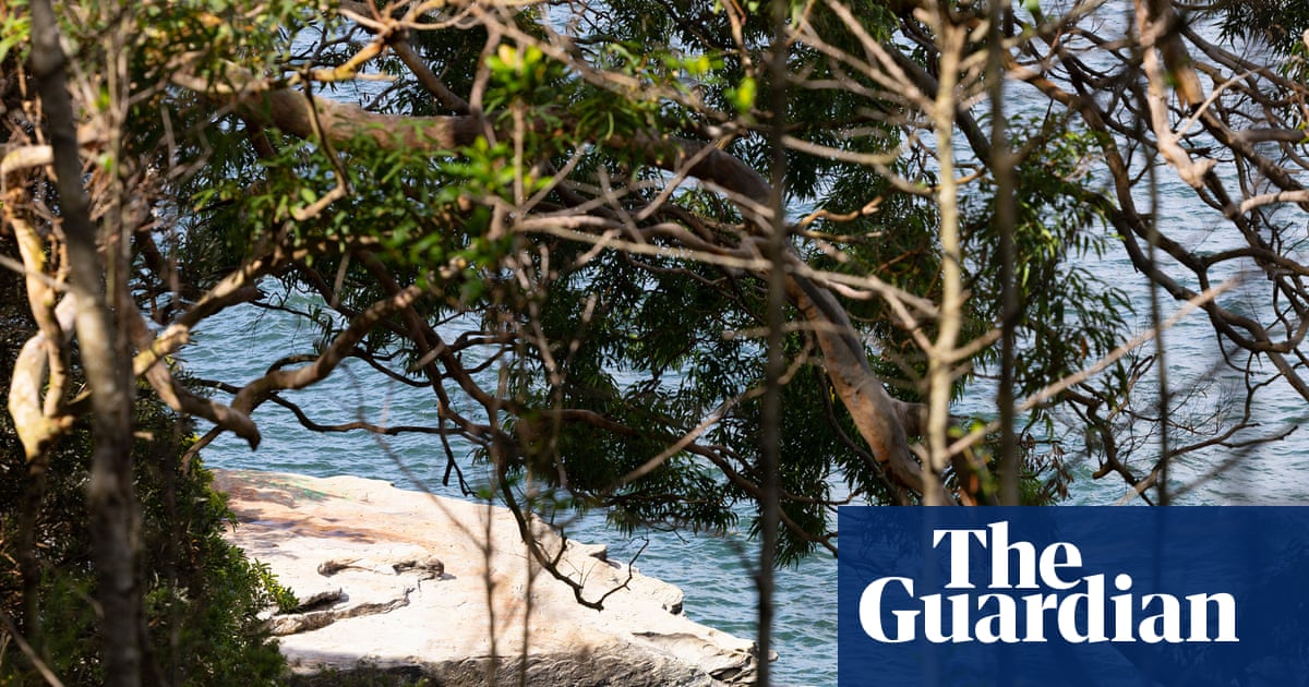 Nico Antic, 12 ans, décède à l'hôpital après avoir été attaqué par un requin à Sydney | Sidney