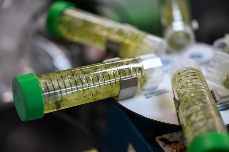 Test tubes full of green liquid sit in a circular pattern on a machine.