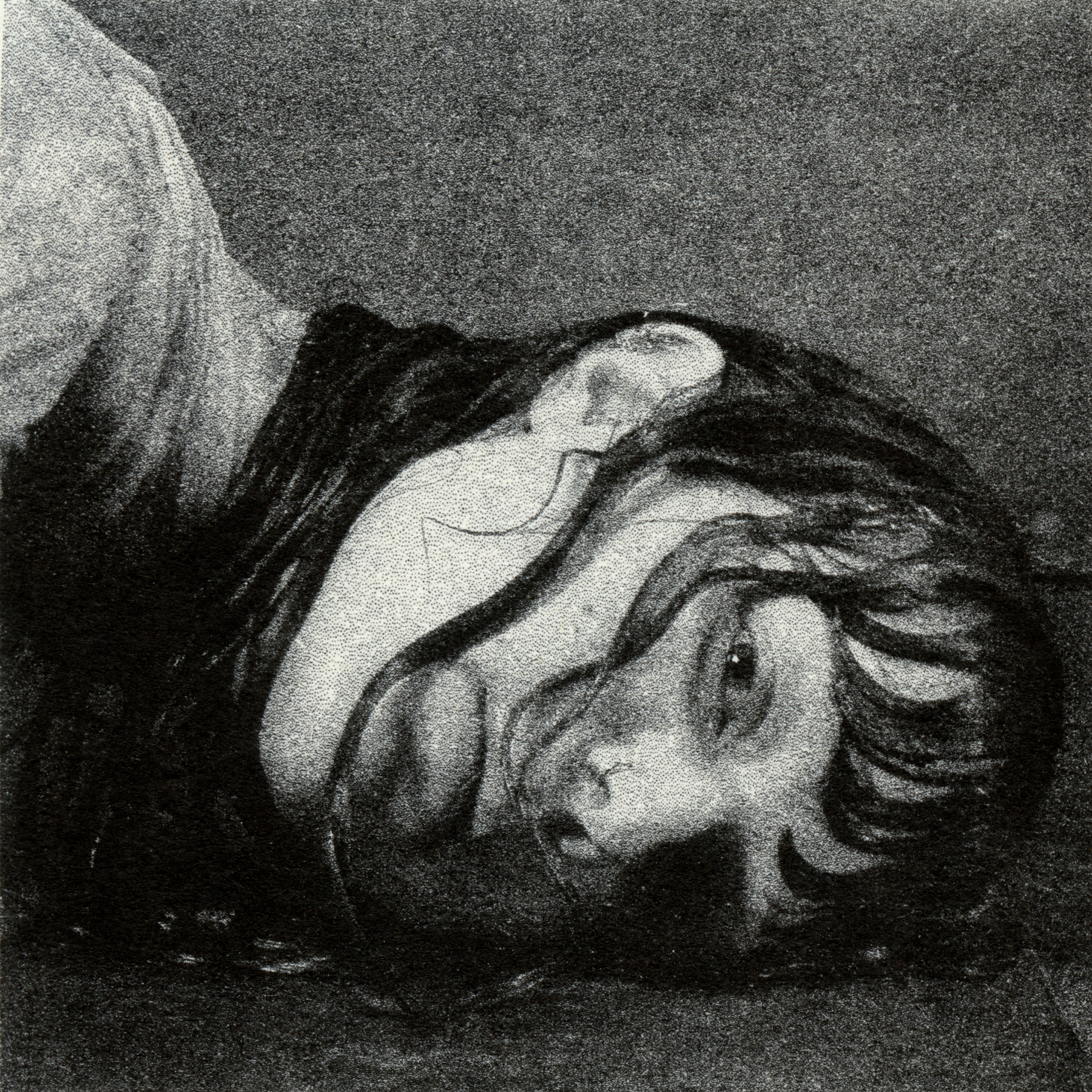 Lucy Kruger et The Lost Boys nous parlent du nouveau single et du prochain album « Pale Bloom » – Backseat Mafia