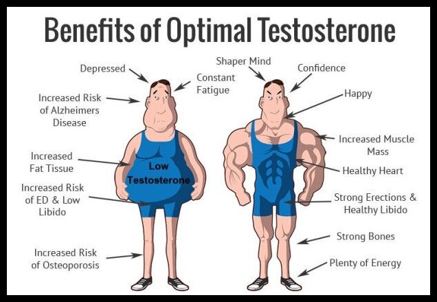 Testosterone Replacement Therapy – Part 1 – IronMag Bodybuilding & Fitness Blog