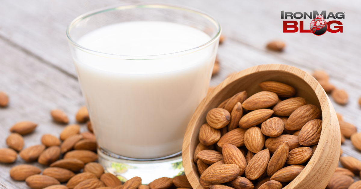 7 bienfaits du lait d’amande pour la santé dont la plupart ne connaissaient pas – IronMag Bodybuilding & Fitness Blog