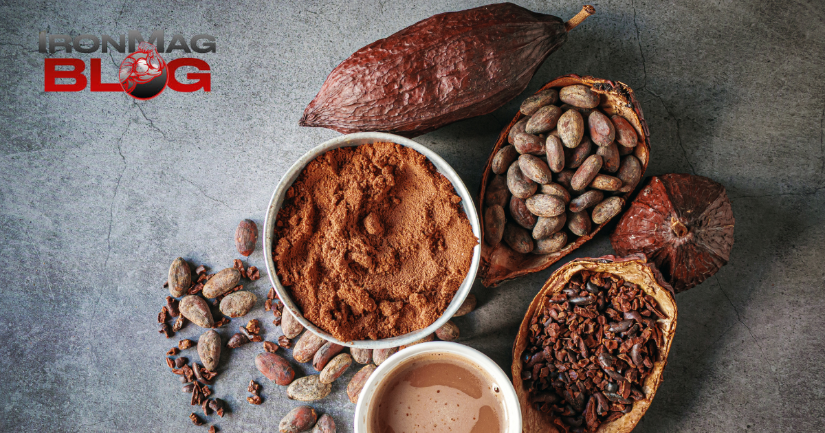 Les flavanols de cacao peuvent-ils augmenter la production de cellules souches ? – Blog de musculation et de fitness IronMag