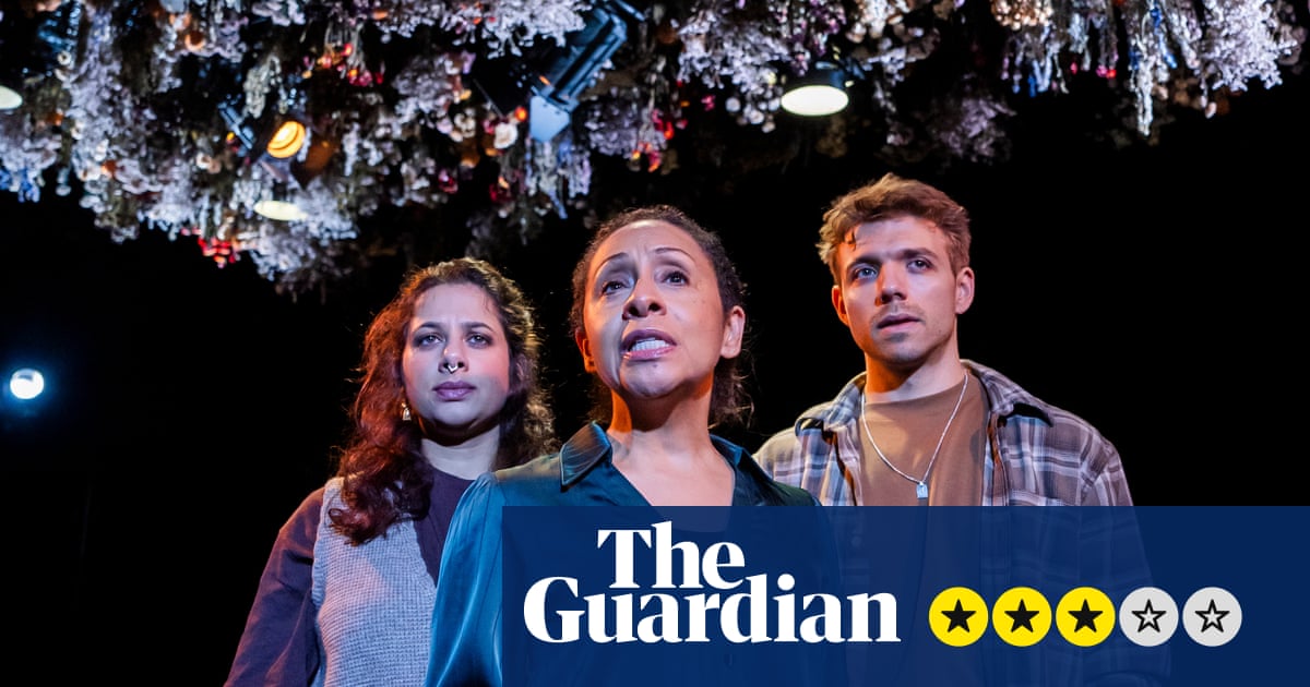 Critique de « Maggots » – histoire tragique d’un décès inconnu depuis plus d’un an | théâtre