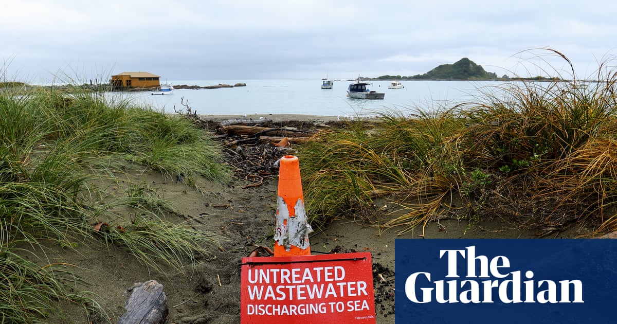 « C'est un désastre » : Wellington est en colère alors que des millions de litres d'eaux usées brutes se déversent dans la mer | Nouvelle-Zélande