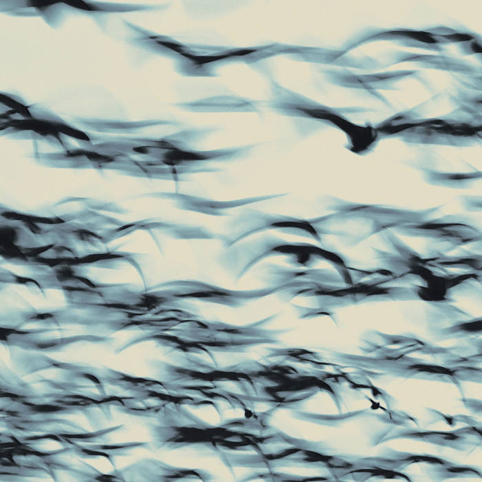 Du free jazz au post rock, un quatuor qui trouve sa propre voie. – Mafia de la banquette arrière