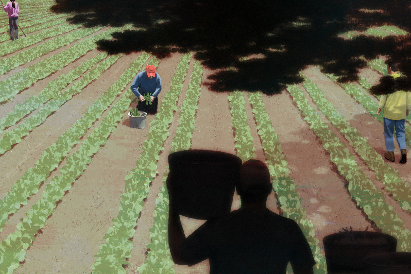 Why Regulators Haven’t Stopped Rampant Abuse of Farmworkers With H-2A Visas — ProPublica