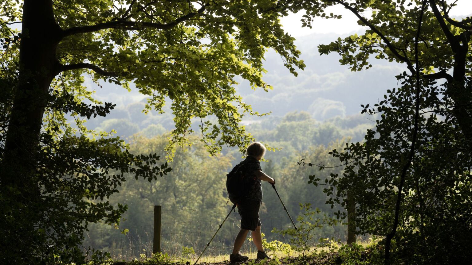 Non, la campagne anglaise n'est pas « trop blanche »