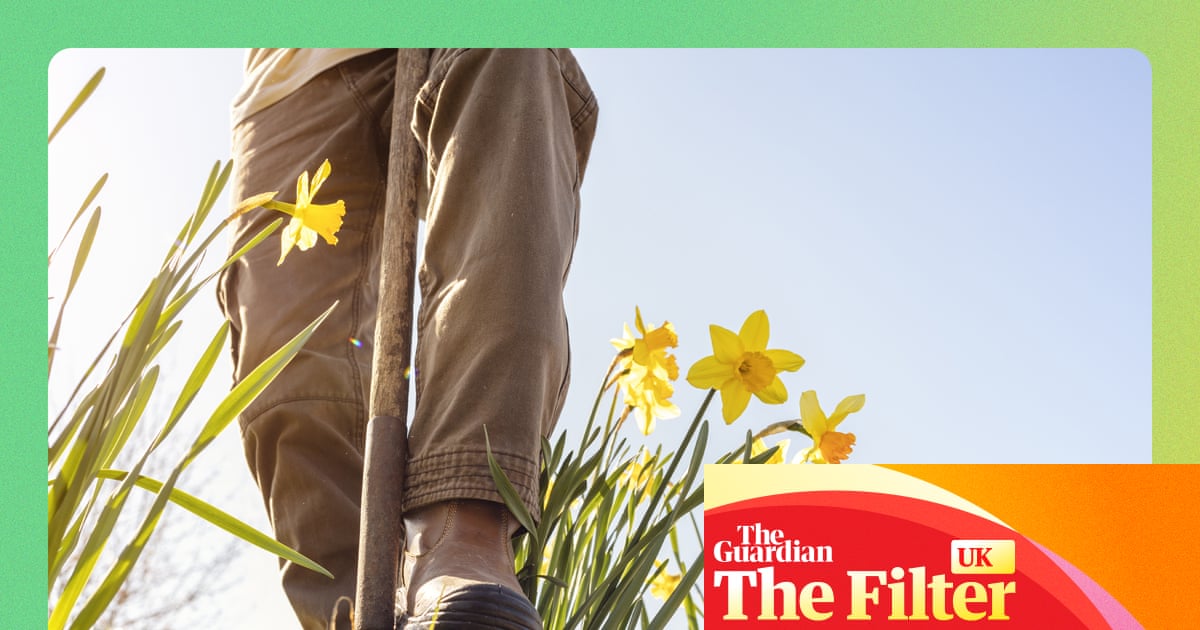 À vos marques, prêts, grandissez ! Comment rafraîchir votre jardin pour le printemps | jardins