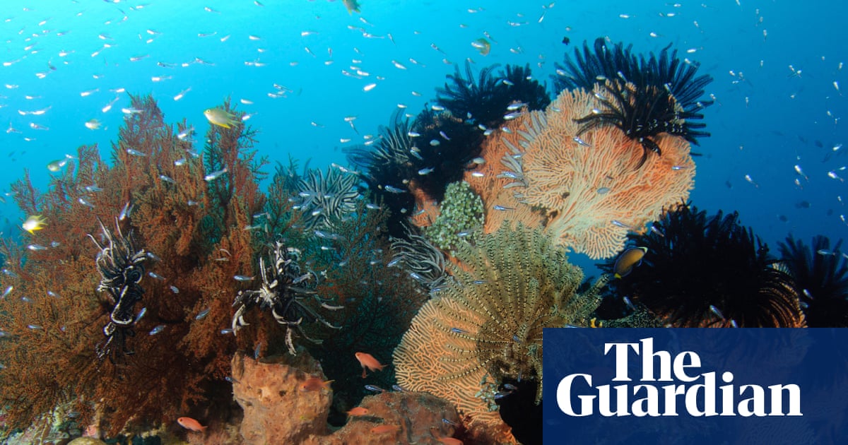 La Terre est « poussée au-delà de ses limites » alors que le déséquilibre énergétique atteint un niveau record | Océans