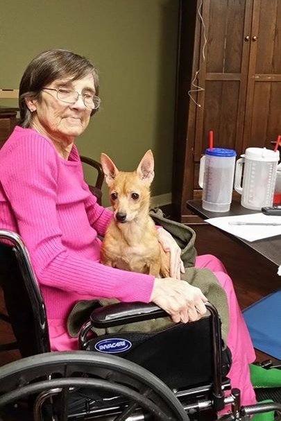 An elderly woman in a wheelchair, wearing a long-sleeve pink shirt and green socks, holds a small brown dog in her lap. Two large drinking cups with lids and straws sit on the table in front of her.