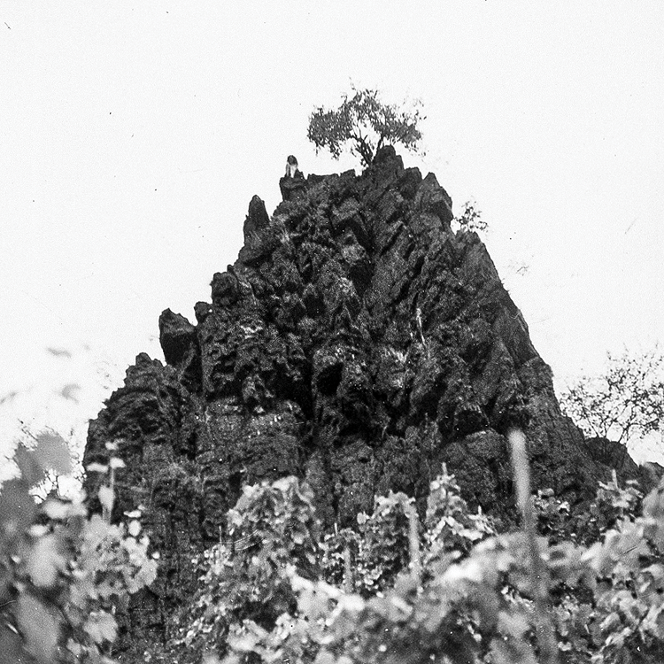 Kat Davids – Winterswell – Mafia de la banquette arrière