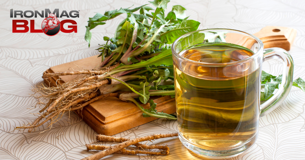 Quels sont les bienfaits du thé au pissenlit pour la santé ? – Blog de musculation et de fitness IronMag