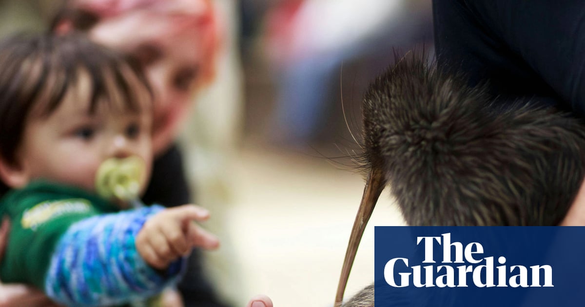 « Rentrer à la maison » : les Kiwis entrent au Parlement pour la première fois alors que la Nouvelle-Zélande célèbre sa victoire en matière de conservation | Nouvelle-Zélande