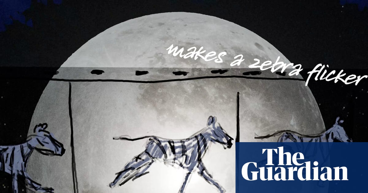 « La Lune et le zoo » : le poème de Simon Armitage célèbre les 200 ans de ZSL | zoologie