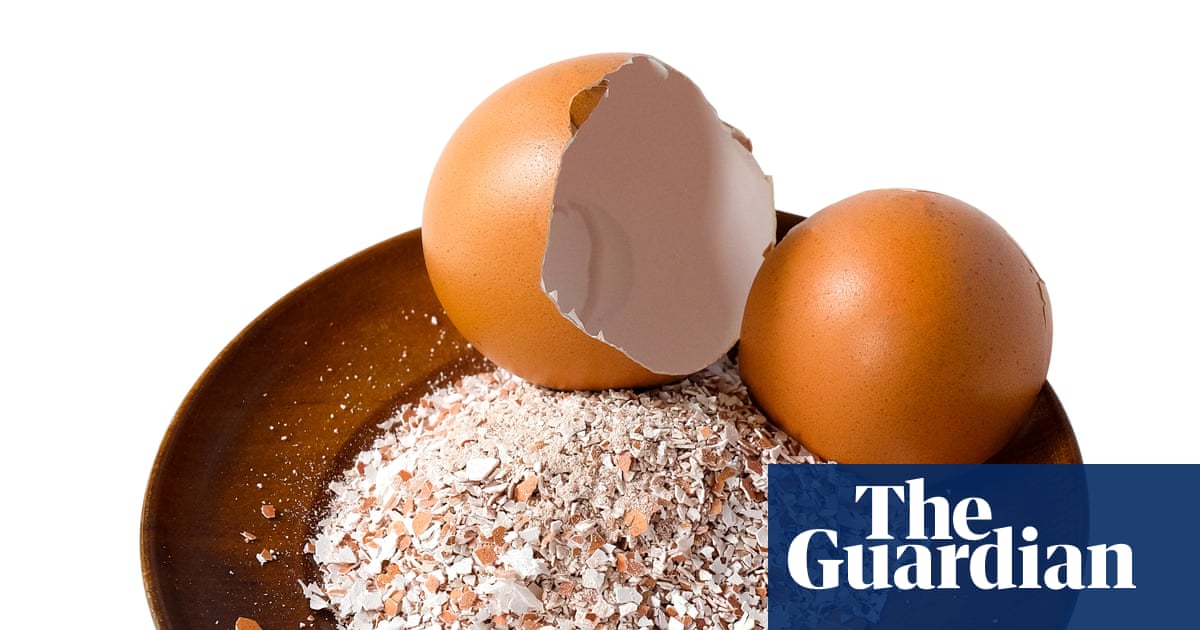 Astuces pour les plantes d'intérieur : les coquilles d'œufs empêchent-elles les moucherons fongiques de pondre ? | Plantes d'intérieur