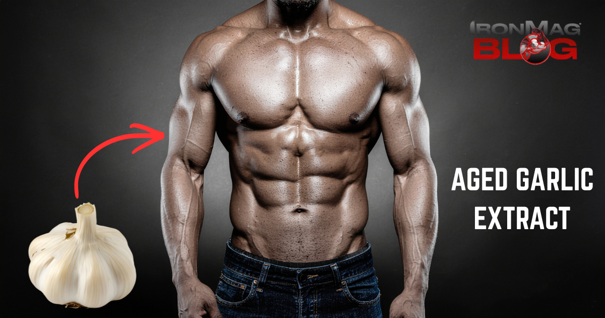 L’extrait d’ail vieilli peut-il augmenter les niveaux de testostérone ? – Blog de musculation et de fitness IronMag