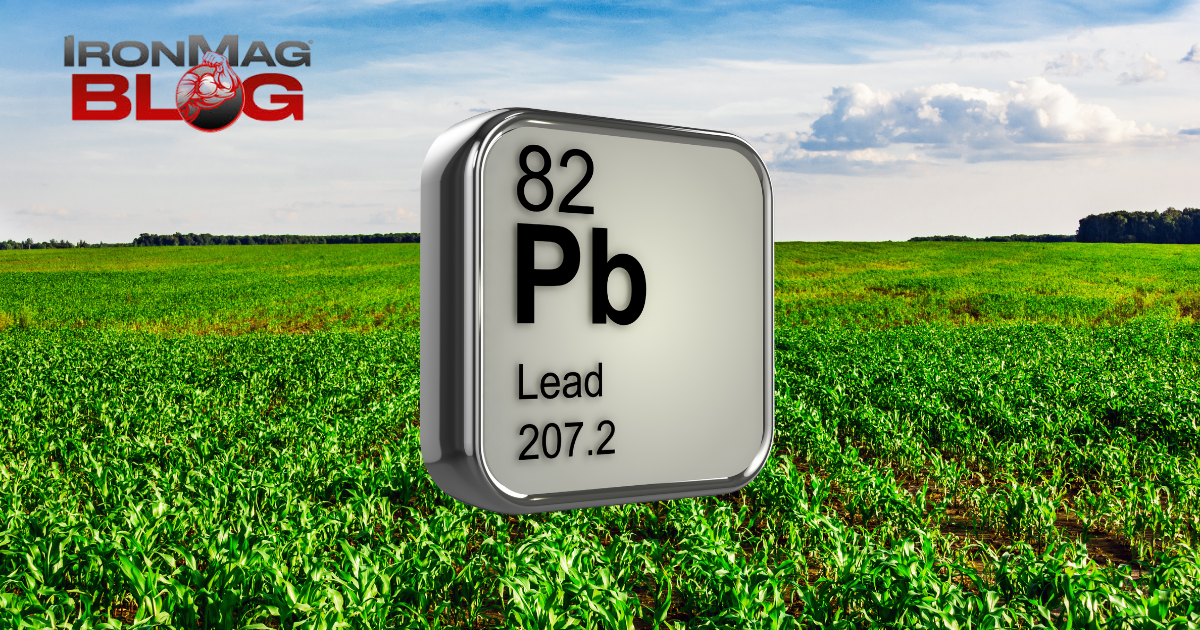 Quelle quantité de plomb contient votre alimentation ? – Blog de musculation et de fitness IronMag