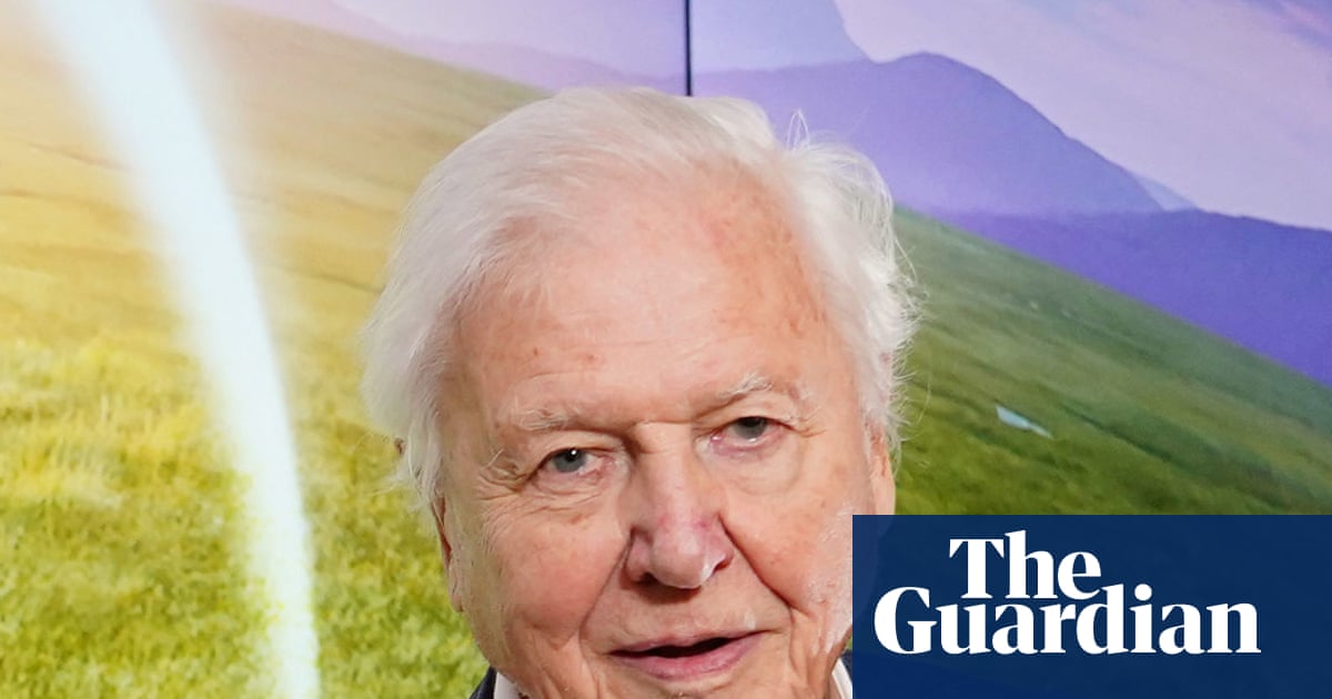 « Le plus grand ambassadeur de la vie sur Terre » : hommages à David Attenborough à l'occasion de son 100e anniversaire | David Attenborough